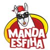logo manda esfiha